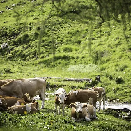 Апартаменты Obermuehle Раурис