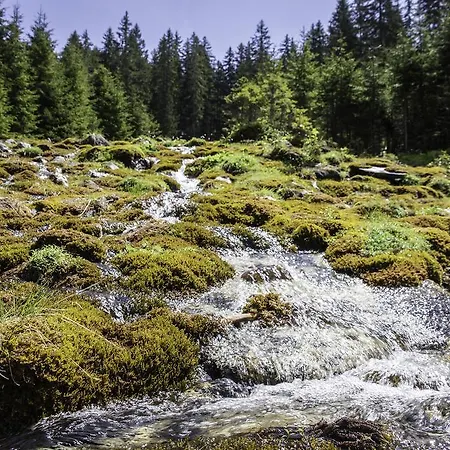 Апартаменты Obermuehle *