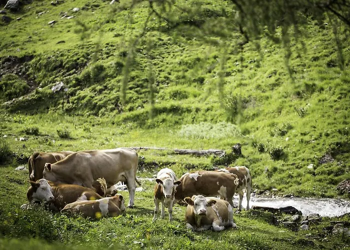 아파트 Obermuehle 라우리스