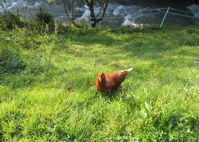 Daire Obermuehle Rauris